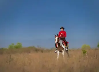 HORSE SAFARI