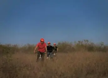 mountain bikes
